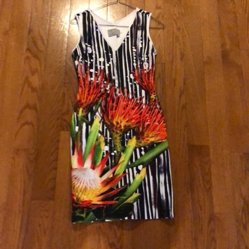 Clover Canyon Dress
